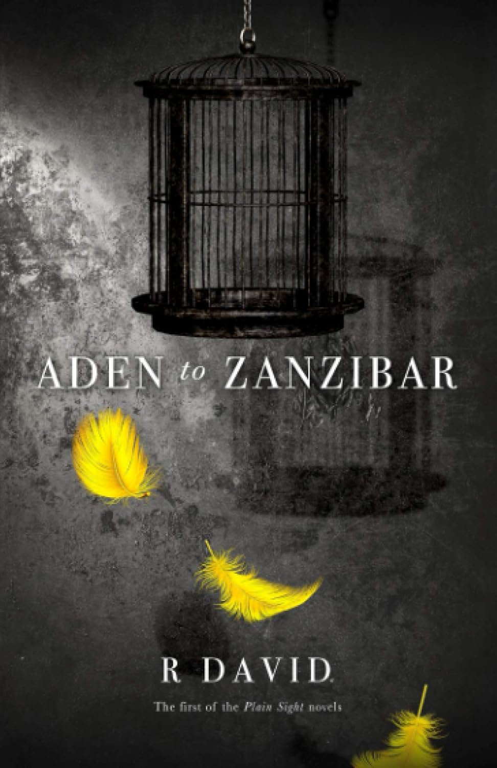 Aden to Zanzibar (The Plain Sight Novels) poster
