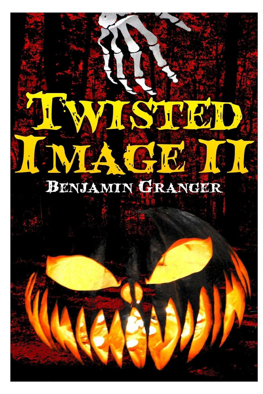 Twisted Image II poster
