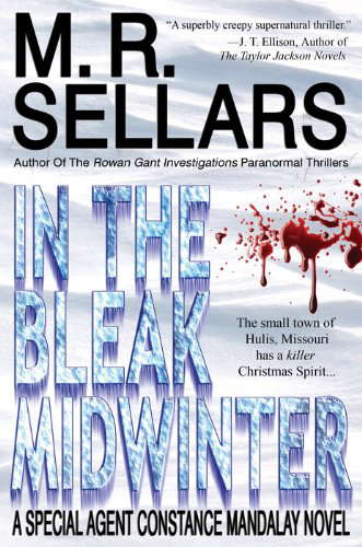 In The Bleak Midwinter: A Special Agent Constance Mandalay Novel poster
