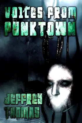 Voices From Punktown poster