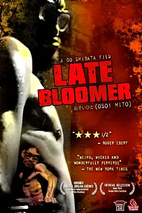 Late Bloomer poster