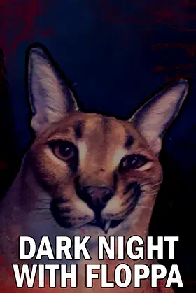 DARK NIGHT WITH FLOPPA poster