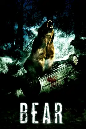 Bear poster