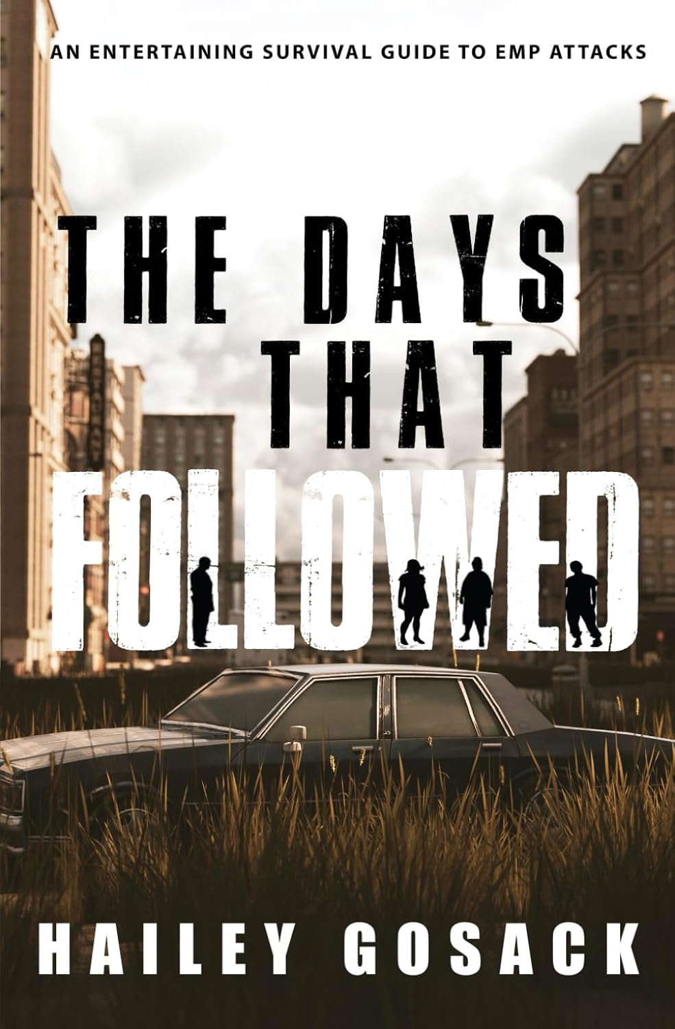 The Days That Followed poster