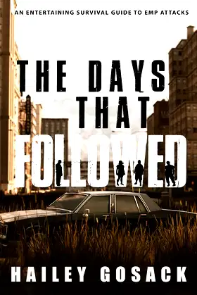 The Days That Followed poster