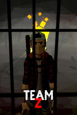 Team-Z poster