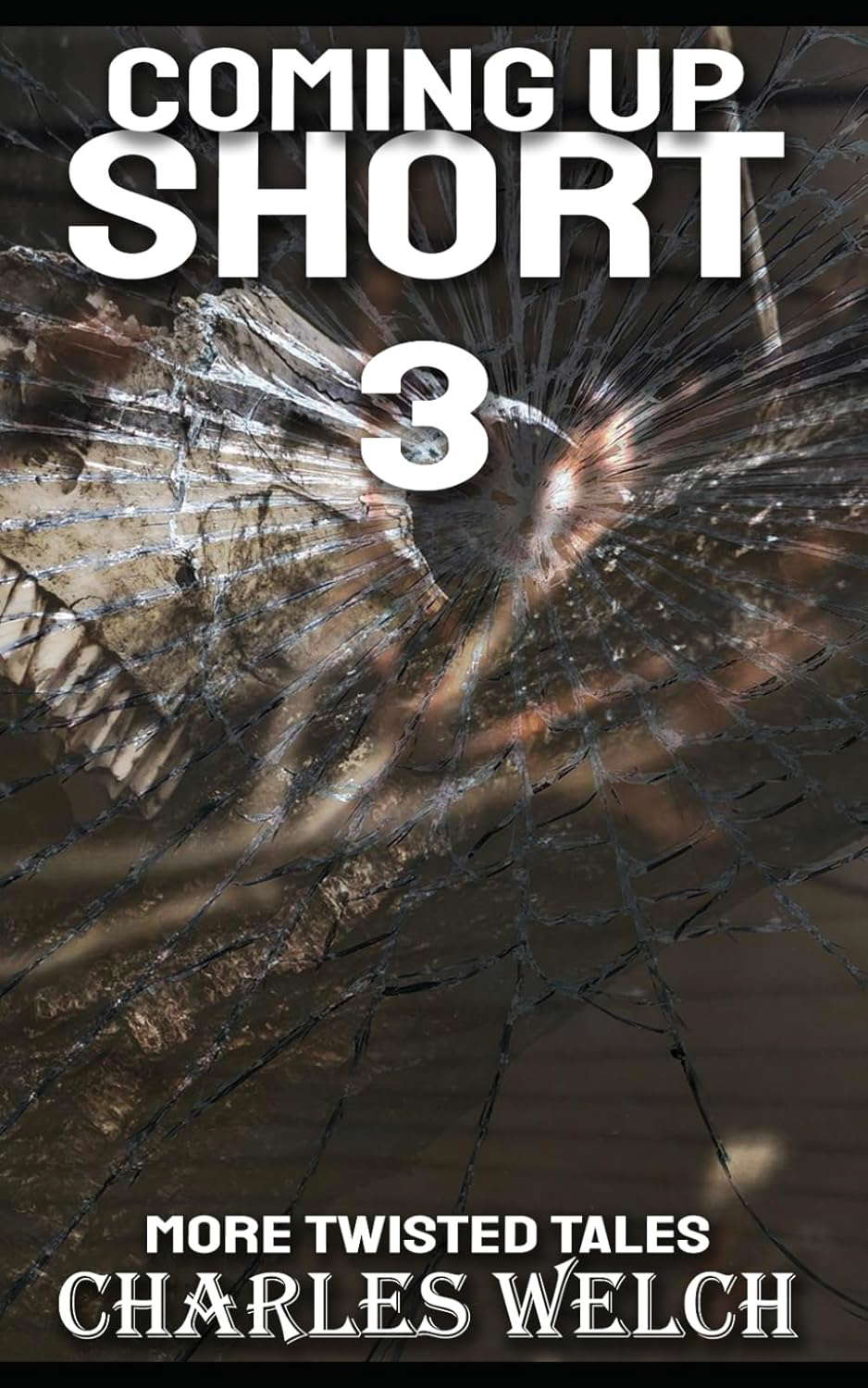 Coming Up Short 3 poster