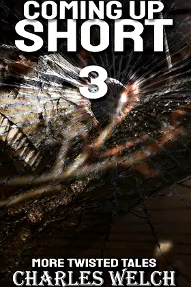Coming Up Short 3 poster