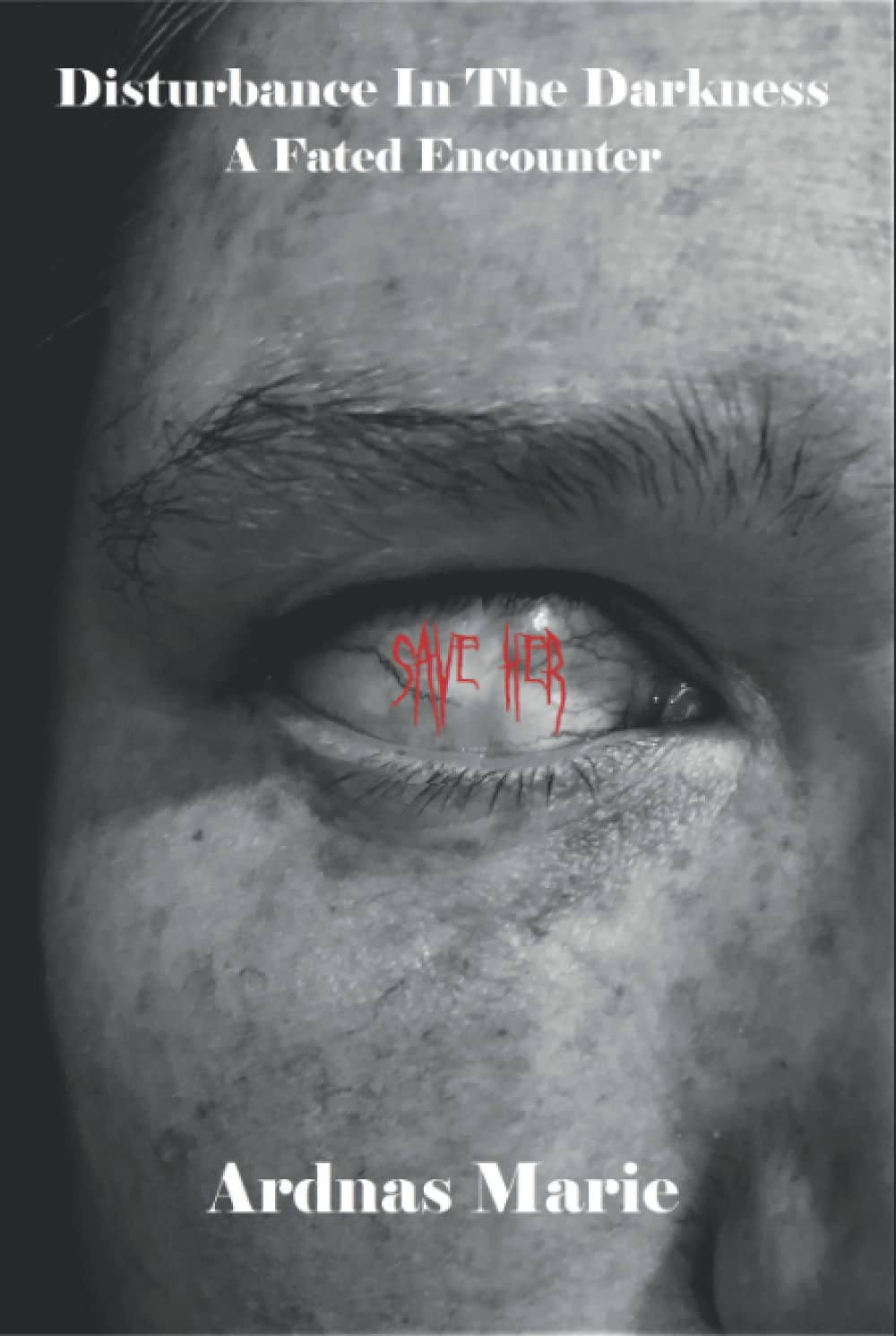 Disturbance In The Darkness: A Fated Encounter poster