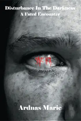 Disturbance In The Darkness: A Fated Encounter poster