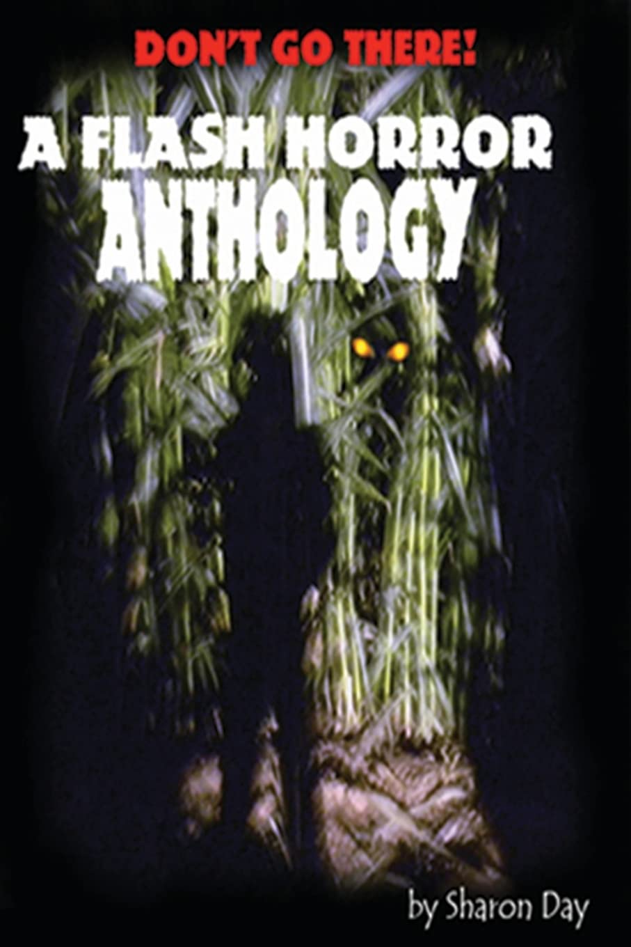 Don't Go There! A Flash Horror Anthology poster
