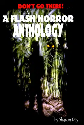 Don't Go There! A Flash Horror Anthology poster