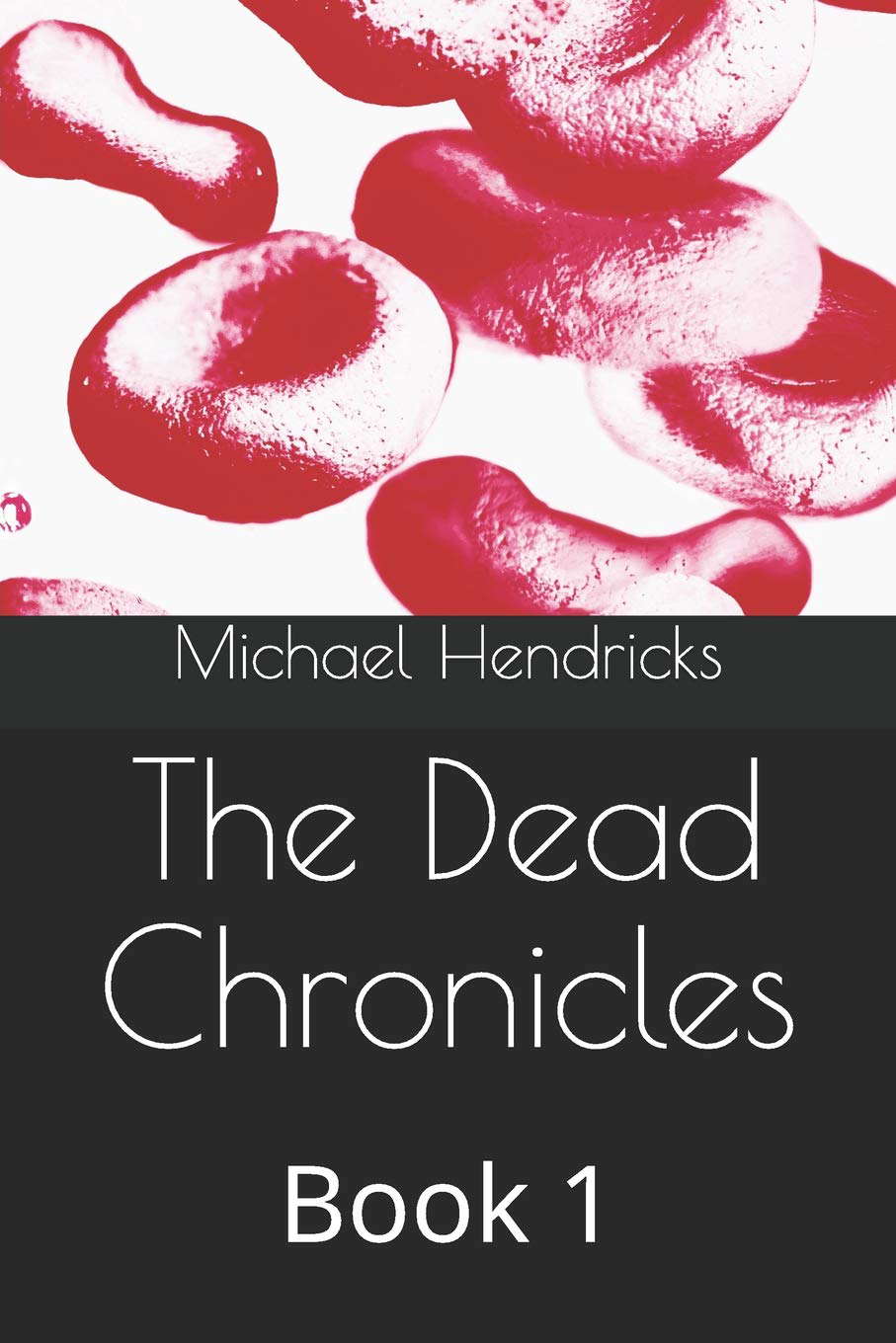 The Dead Chronicles: Book 1 poster
