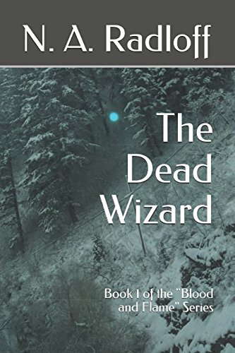 The Dead Wizard: Book 1 of the "Blood and Flame" Series poster