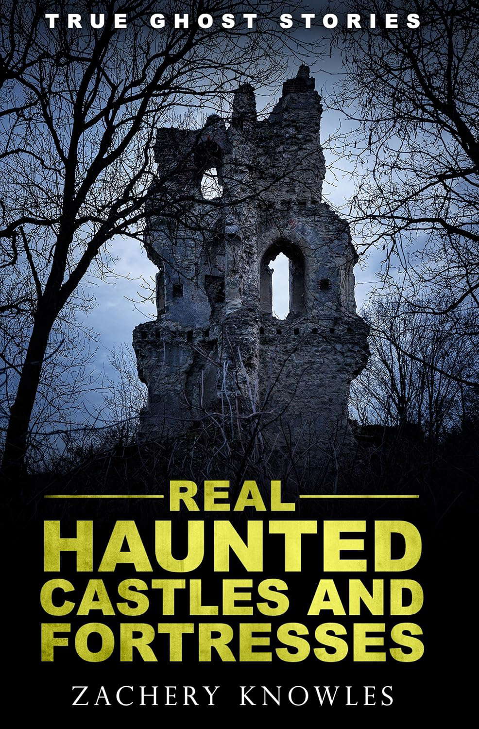 True Ghost Stories: Real Haunted Castles and Fortresses poster