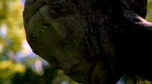 episode poster