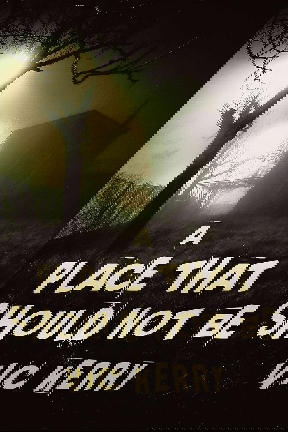 A Place That Should Not Be poster