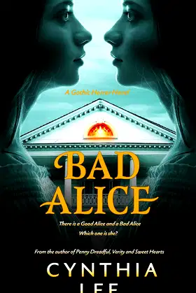 Bad Alice poster