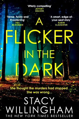 A Flicker in the Dark poster