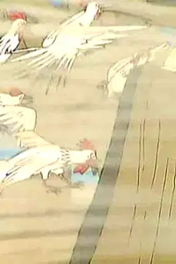 Chicken, He Clucked poster