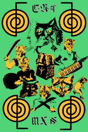 CatMxn: Chapter 1 poster