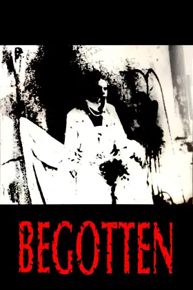 Begotten poster