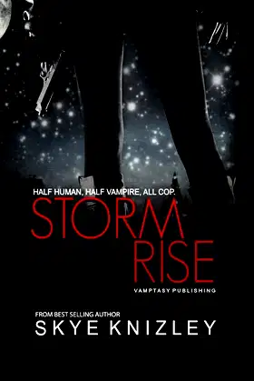 Stormrise (The Storm Chronicles) poster