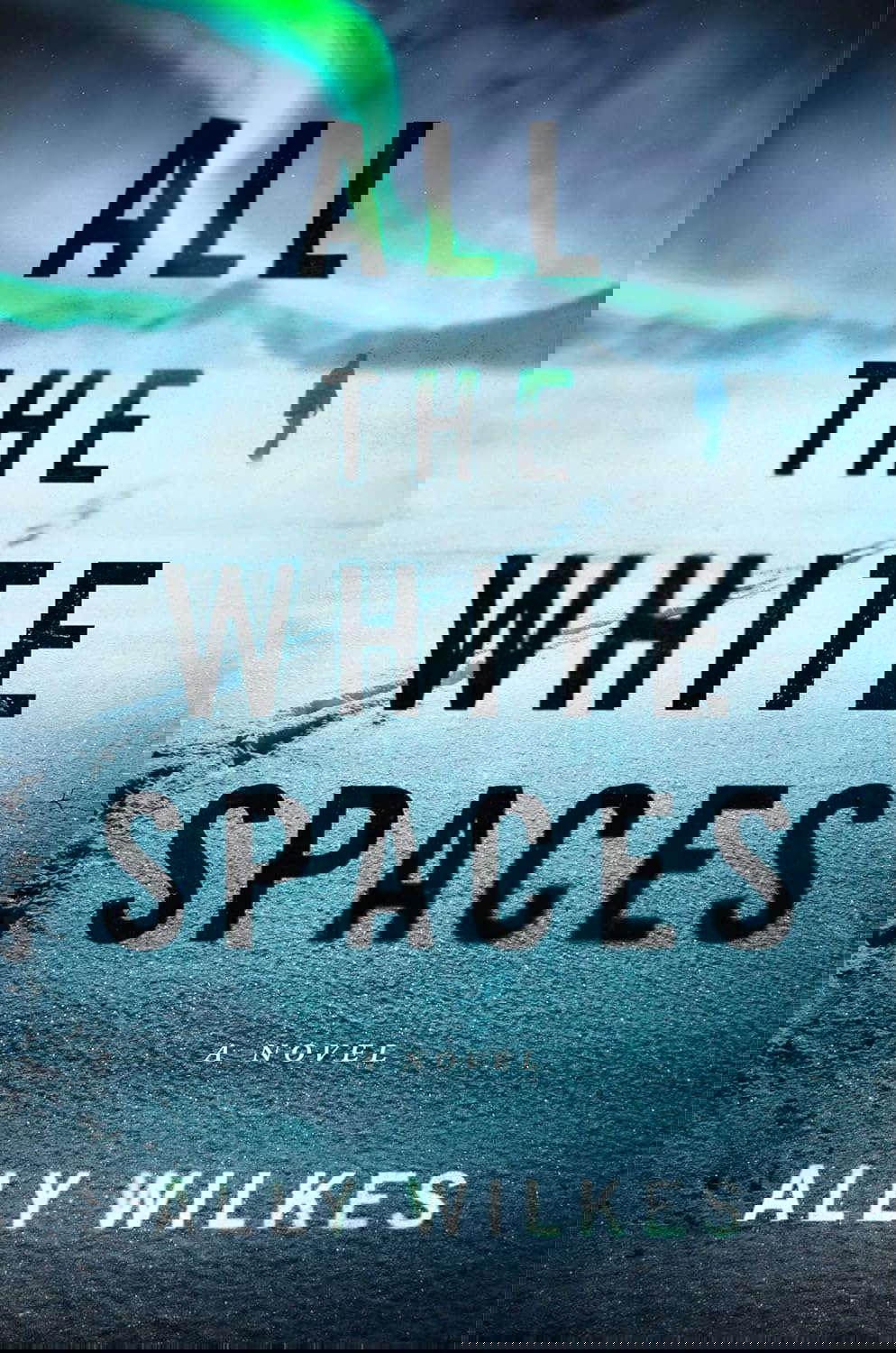 All the White Spaces: A Novel poster