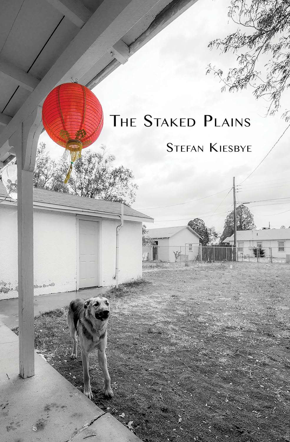 The Staked Plains poster