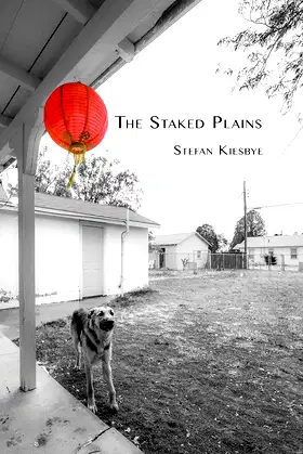 The Staked Plains poster