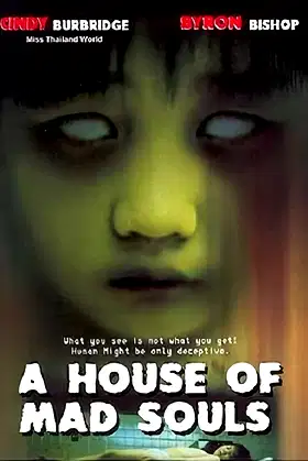 A House of Mad Souls poster