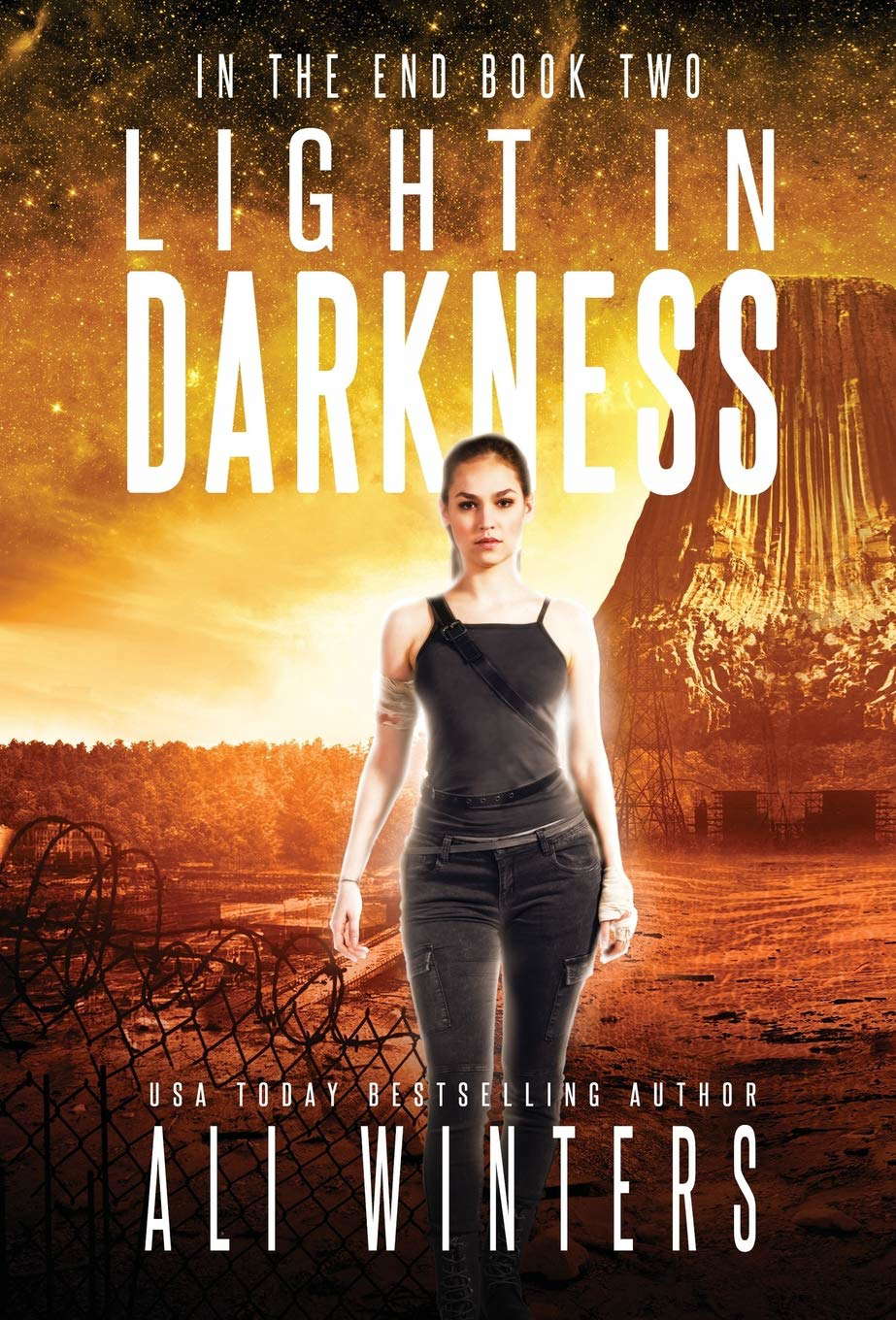 Light in Darkness (In the End) poster