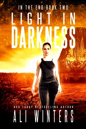 Light in Darkness (In the End) poster