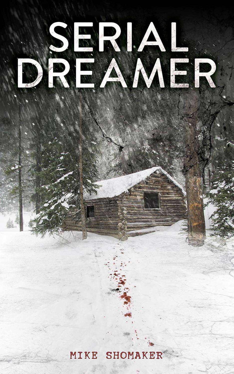 Serial Dreamer poster