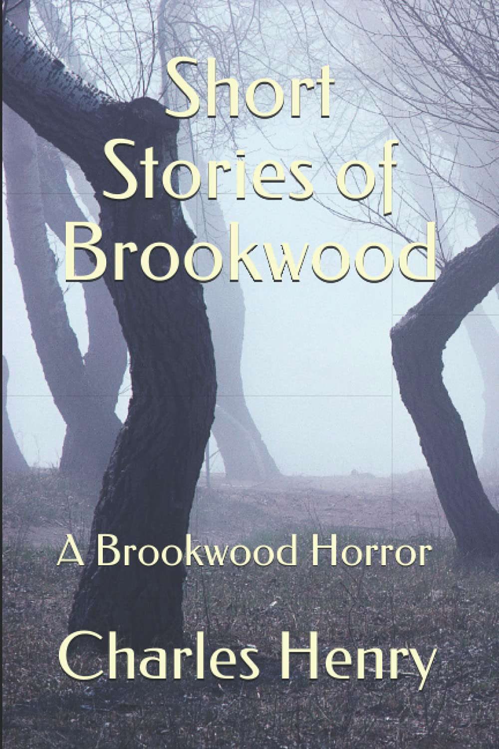 Short Stories of Brookwood: A Brookwood Horror poster
