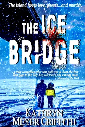 The Ice Bridge poster