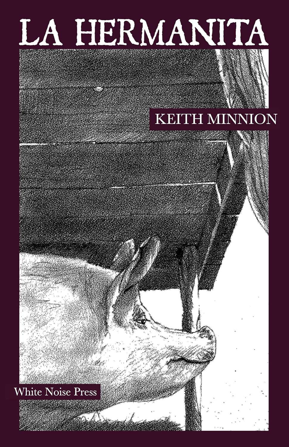 La Hermanita – a short story poster