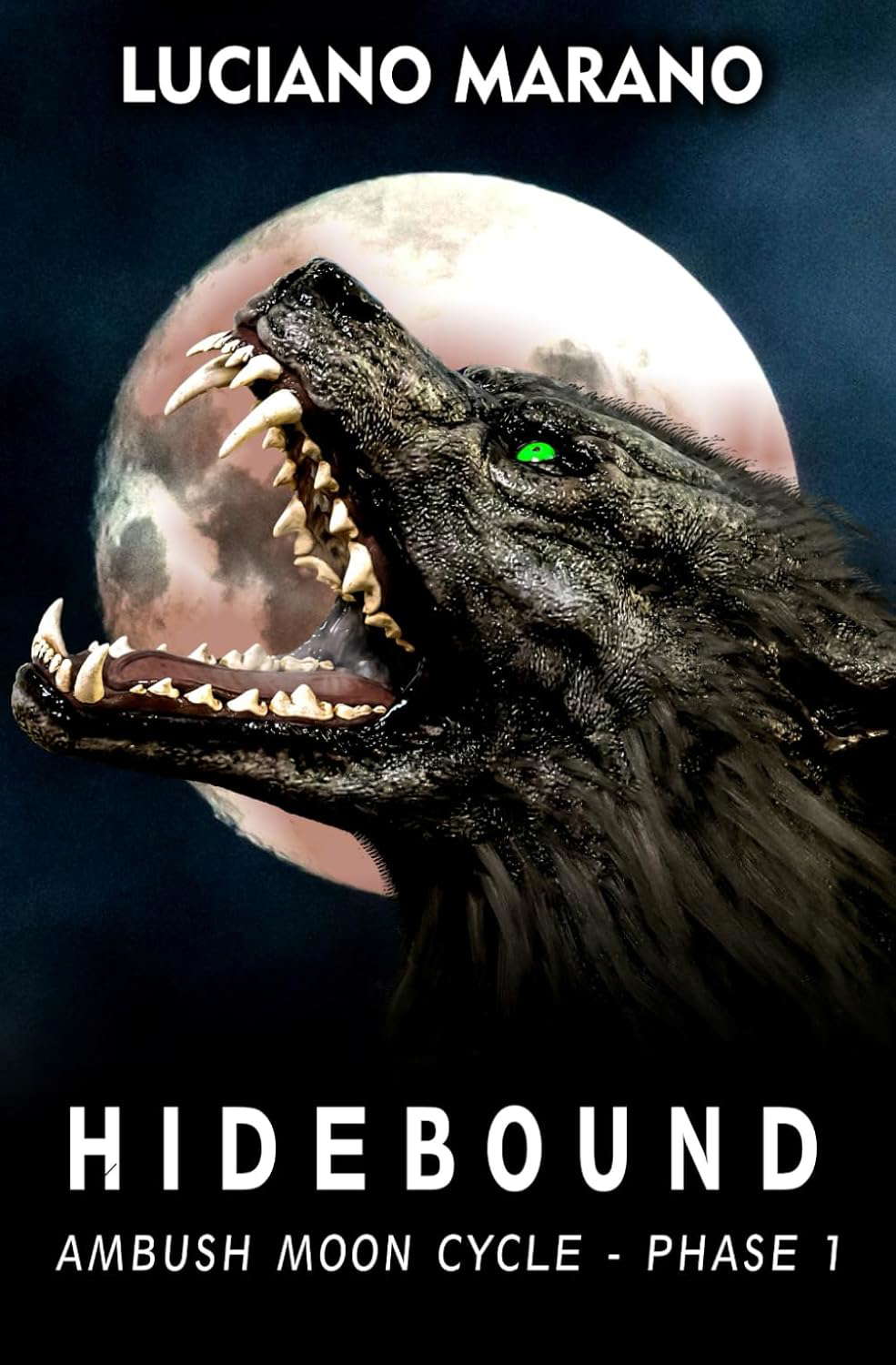 Hidebound (Ambush Moon Cycle) poster