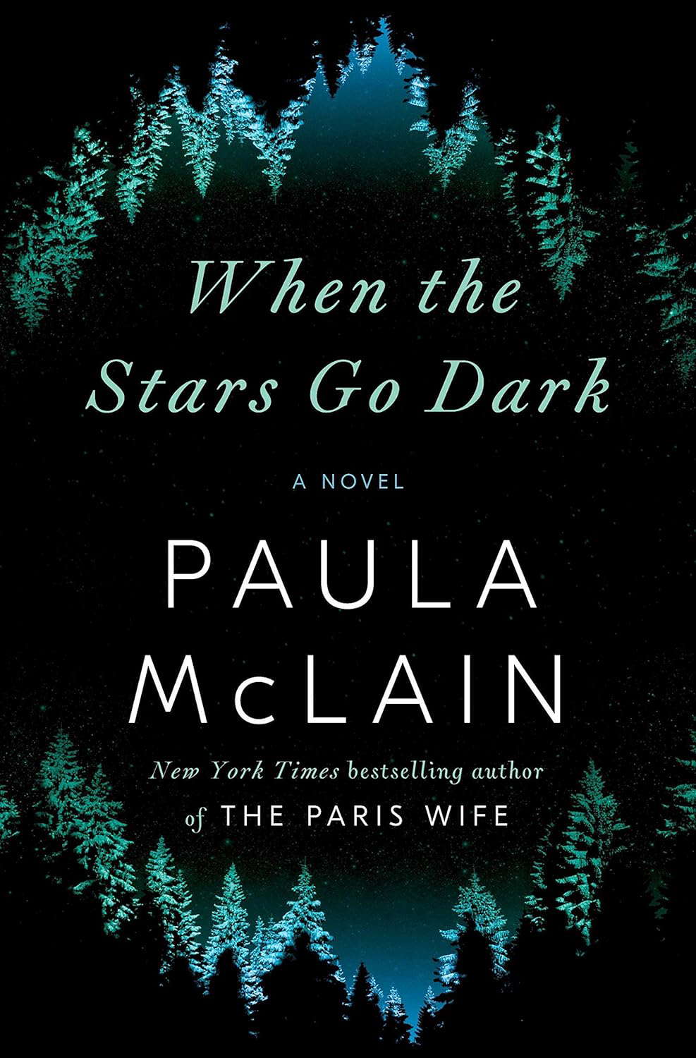 When the Stars Go Dark: A Novel poster