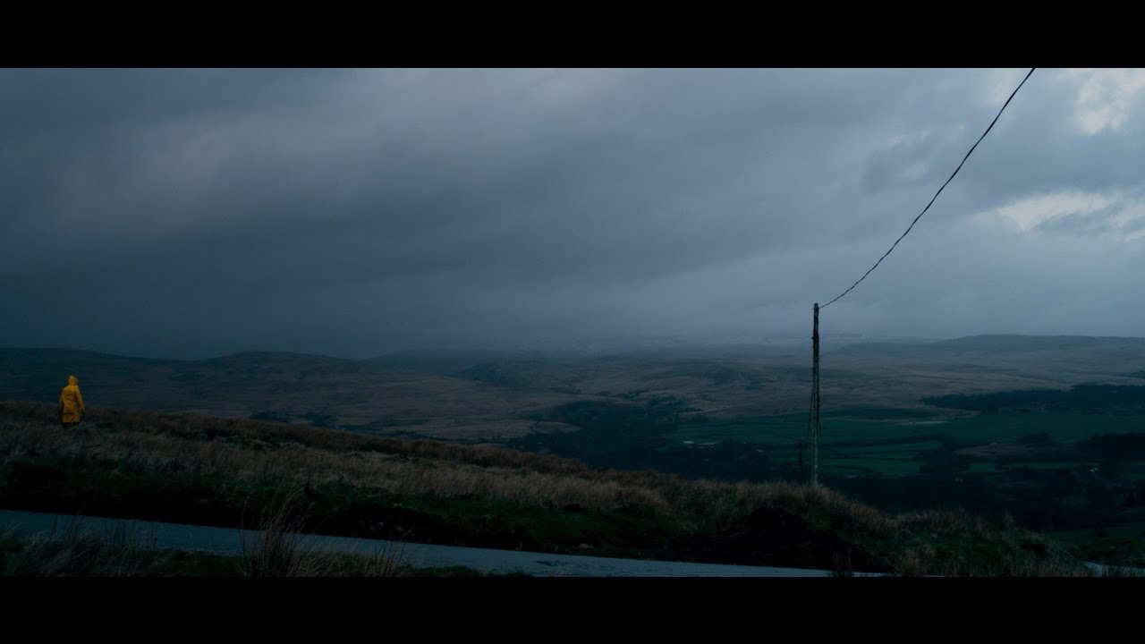 C A N A R I E S    Trailer