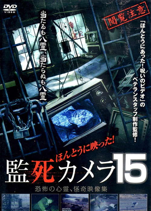 Paranormal Surveillance Camera 15 poster