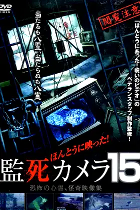 Paranormal Surveillance Camera 15 poster