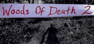 Woods of Death 2 capsule