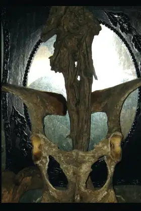 The Invocation of Death and I poster