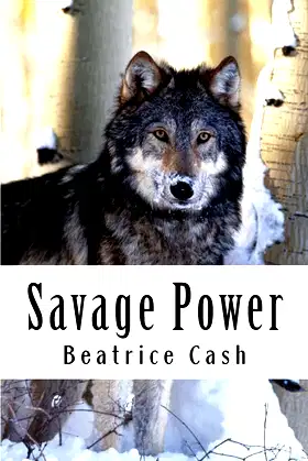 Savage Power (Savage Series) poster