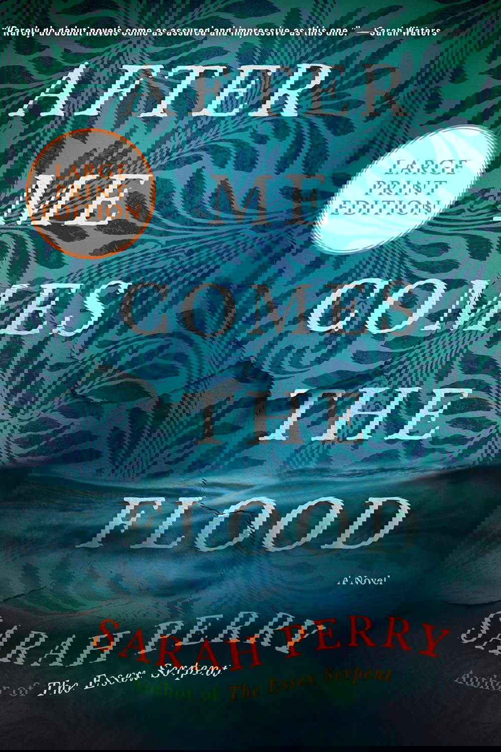 AFTER ME COMES FLOOD poster