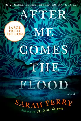 AFTER ME COMES FLOOD poster