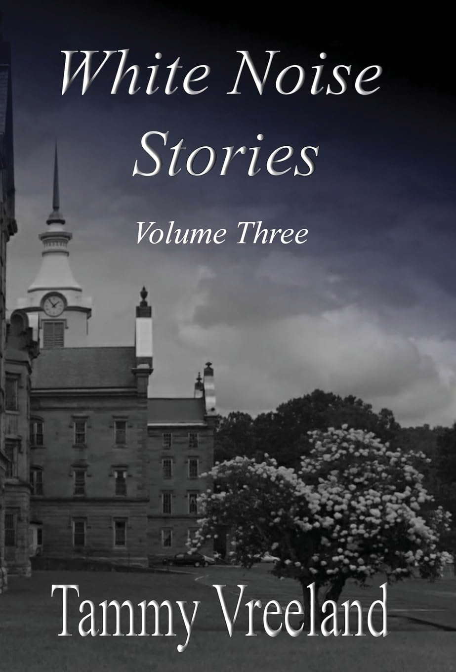 White Noise Stories - Volume Three poster