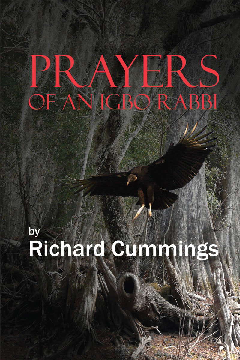Prayers of an Igbo Rabbi poster