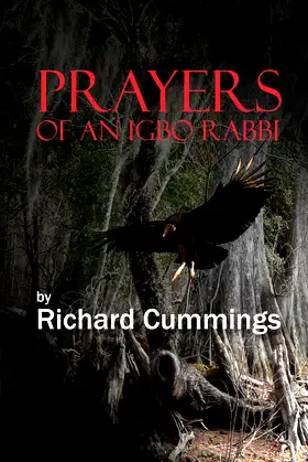 Prayers of an Igbo Rabbi poster
